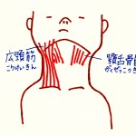顔のたるみ 解消のポイントは顎の筋肉