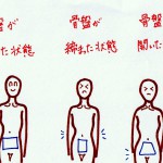 くびれを作るには骨盤を立てることが重要