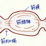 「イタ気持ちいい」は健康にも美容にも逆効果